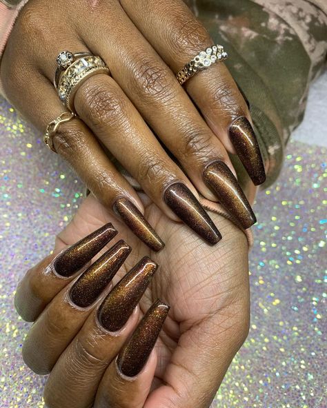 Brown Cat Eye Nails, Jazzy Nails, Gold Glitter Makeup, Mermaid Parade, Eye Nails, Cat Eye Nails, Little Cat, Cat Nails, Brown Cat