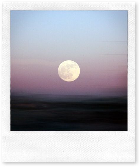 polaroid moon Polaroid Photography, Photo Polaroid, Instant Photography, Polaroid Pictures, Polaroid Photos, Colour Pop, Full Moon, Film Photography, Photography Inspiration