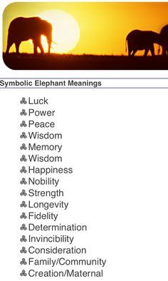 elephant meanings Elephant Meaning, Elephant Quotes, Elephant Tattoo Meaning, All About Elephants, Tattoo Elephant, Elephant Facts, Elephant Tattoo, Elephant Tattoos, Elephant Lover