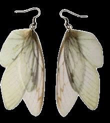 moth fairy earrings | ShopLook Moth Fairy, Accessories Png, Clothing Png, Grunge Earrings, Fairy Earrings, Png Clothes, Fairycore Clothes, Grunge Accessories, Grunge Jewelry