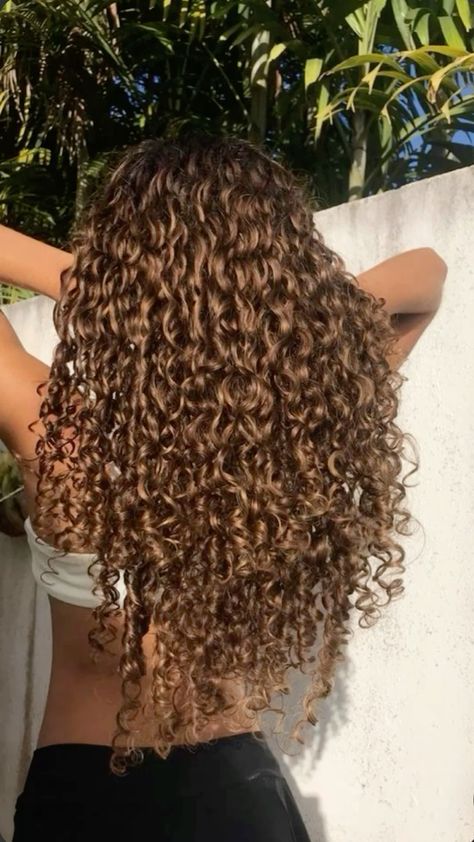 Honey brown highlights, curly hair, inspo Healthy Curly Hair, Dyed Curly Hair, Curly Hair Care Routine, Highlights Curly Hair, Brown Curly Hair, Curly Hair Photos, Colored Curly Hair, Curly Hair Styles Easy, Hairdos For Curly Hair