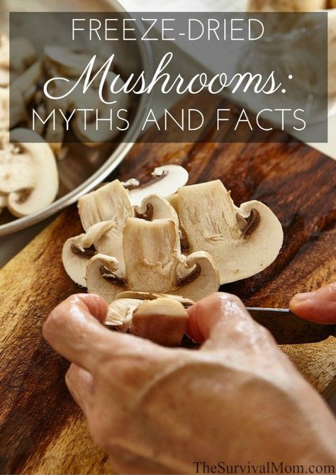 freeze dried mushrooms How To Freeze Mushrooms, Can You Freeze Mushrooms, Freezing Mushrooms, Freezing Vegetables, Dried Mushrooms, Freeze Drying Food, Dehydrated Food, Frozen Veggies, Food Info