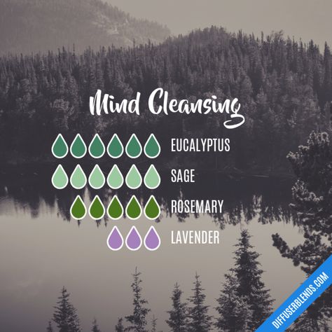 Mind Cleansing - Essential Oil Diffuser Blend Sage Essential Oil Blends, Sage Diffuser Blends, Mind Cleansing, Cleansing Sage, Lilin Aroma, Eo Blends, Essential Oil Combinations, Rosemary Lavender, Essential Oil Diffuser Blends Recipes