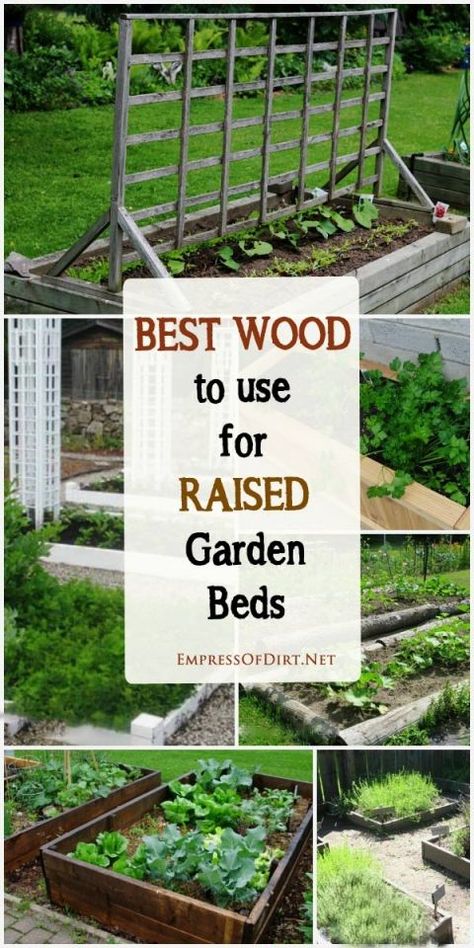 What is the best wood to use for raised garden beds and which ones can be harmful? Find out here! #raisedbeds #lumber #empressofdirt Shed Inspiration, Raised Gardens, Vegetable Garden Raised Beds, Building A Raised Garden, Veg Garden, Garden Care, Garden Boxes, Garden Bed, Flowers Garden