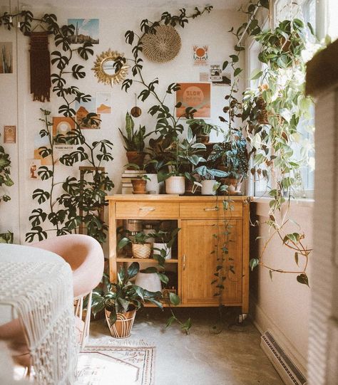 Lots Of Plants, Plant Aesthetic, House Plants Decor, Room With Plants, Appreciation Post, House Plants Indoor, Plant Mom, Cozy Room, Plant Lover