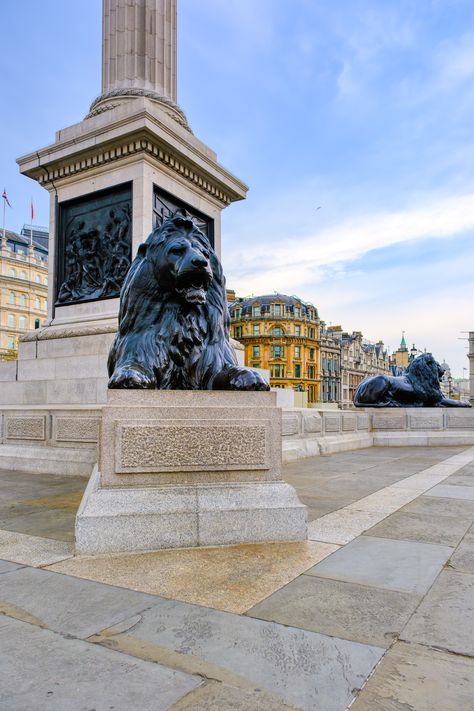 Trafalgar Square Lion Sculpture, London UK. --- #TrafalgarSquare #LionSculpture #Sculpture #London #VisitLondon #CityBreak #Architecture #photography #ilovelondon #itssolondon #londoncity #londonlife #londonlove #travellondon #londonphoto #londonforyou #londoncityworld #photosoflondon #londontown #prettylittlelondon #prettycitylondon #londonphotography #londonarchitecture #beautifuldestinations #toplondonphoto #VisitBritian Rain Tattoo, Trafalgar Square London, London Architecture, Trafalgar Square, London Town, Visit London, London Photography, London Photos, London Love