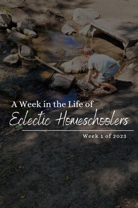 What goes on in an Eclectic Homeschool? Find out in the day-by-day description of what Eclectic Homeschooling can look like. Find out more about the Eclectic Homeschool method, and what will and will not work for you. Curious to see how you can have a great Homeschool without a strict method, schedule, or curriculum? Relaxed Eclectic Homeschooling might just be for you! Good And The Beautiful Homeschool, Eclectic Homeschooling, Secular Homeschool, Emotionally Drained, Homeschool High School, Homeschool Schedule, Homeschool Planning, Unschooling, Spanish Lessons