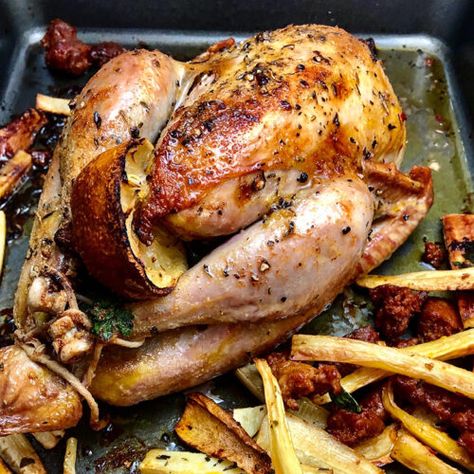 Oven Roasted Pheasant - Wild Game Cuisine - NevadaFoodies Roast Pheasant Recipes, Roasted Pheasant Recipes, Whole Pheasant Recipes, Baked Pheasant Recipes, Roasted Pheasant, How To Cook Pheasant, Roast Pheasant, Pheasant Recipes, How To Cook Chorizo