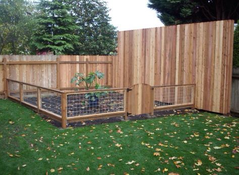 Plastic Garden Fencing, Small Garden Fence, Outdoor Gate, Small Fence, Garden Fence Panels, Building A Fence, Front Yard Fence, Cedar Fence, Garden Area