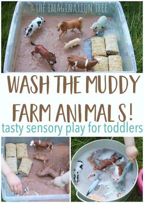 Sensory Play Toddlers, Kids Sensory Play, Imagination Tree, Farm Preschool, Baby Sensory Play, Farm Activities, Toddler Sensory, Animal Activities, Kids Sensory