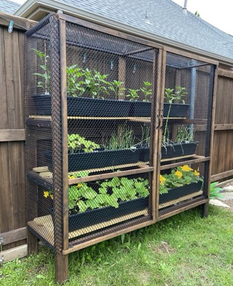 Raised Garden Bed From Pallets, Garden Bed From Pallets, Garden Closet, Pallets Diy, Bucket Gardening, Building A Raised Garden, Backyard Greenhouse, Backyard Vegetable Gardens, Greenhouse Plans