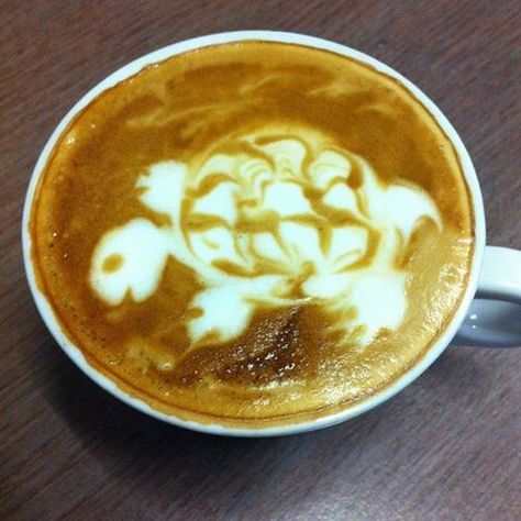 Turtle in the cup Sweet Cheeks, The Cup, Kit Kat, Latte Art, Coffee Love, Coffee Art, Best Coffee, Turtles, Coffee Lover