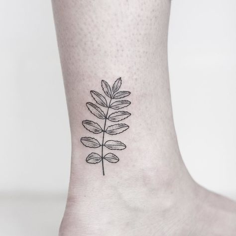 A simple Rowan leaf for Meghan ________________________________________ #rachainsworth #leaftattoo #ankletattoo #minimaltattoo #smalltattoo Rowan Tattoo, Logan Tattoo, Rowan Leaf, Celtic Tree Tattoos, Ash Leaf, Leaf Tattoo, Rowan Tree, Celtic Tattoos, Tat Ideas