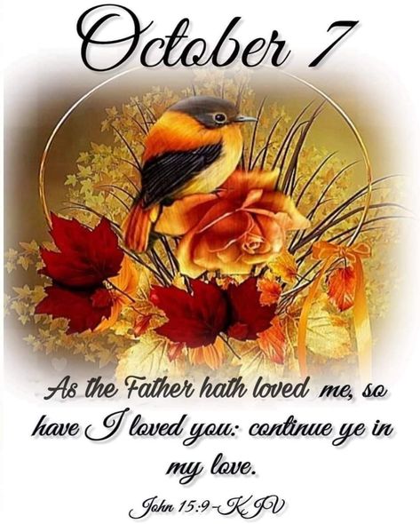 October Blessings, December Scriptures, October Quotes, Daily Grace, October Baby, Good Morning Happy Sunday, Good Morning God Quotes, Daily Scripture, Shop With Me