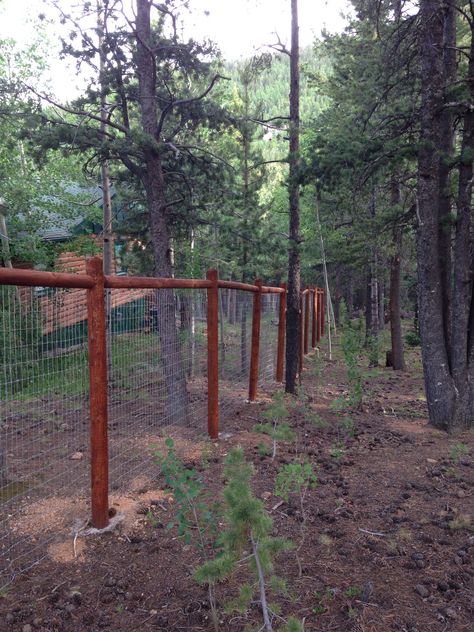 Mountain Home Fence Ideas, Goat Pens, Build A Fence, Horse Fence, Easy Fence, Mountain Horse, Glass Fence, Green Fence, Natural Fence