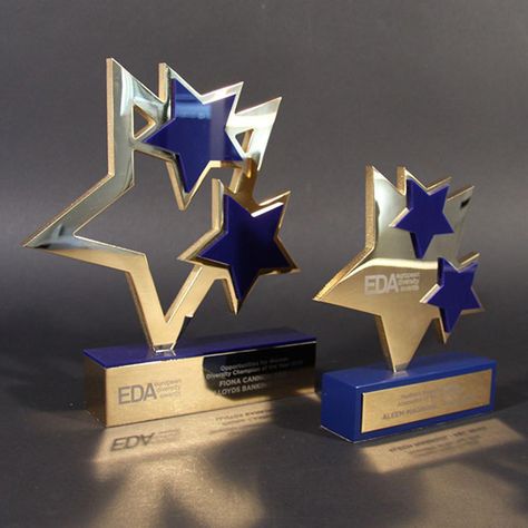 EDA Award | EFX Bespoke Awards and Trophies Hollywood Party Centerpieces, Crown Centerpiece, Acrylic Trophy, Harry Potter Wedding Theme, Award Display, Award Ideas, Graduation Party Themes, Trophies And Medals, Window Display Design