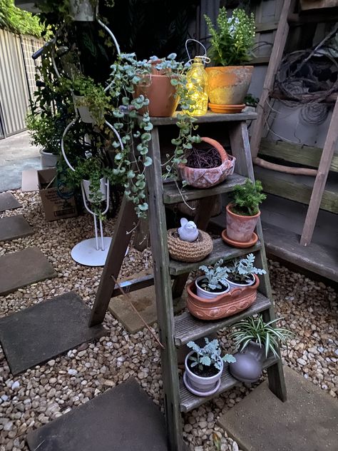 Old Ladders Repurposed Garden, Old Ladders Repurposed, Garden Sanctuary, Small Courtyard, Ladder Of Success, Old Ladder, Mini Ideas, Chabby Chic, Pretty Garden