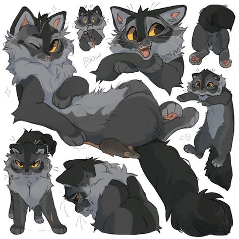 graypillow (@graypillowart) • Fotos y videos de Instagram Warrior Drawing, Cat Drawing Tutorial, Warrior Cats Fan Art, Warrior Cat Drawings, Warrior Cat Oc, Cat Oc, Cat Sketch, Warrior Cats Art, Cat Pose