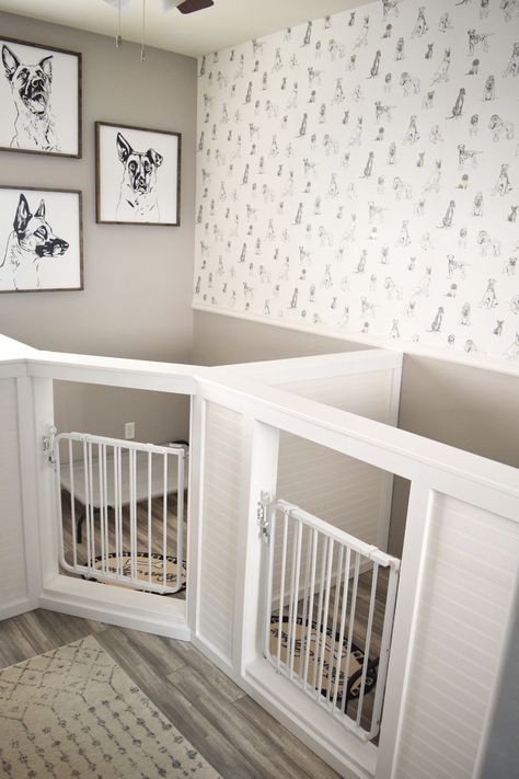 Dog Room In Apartment, In Home Dog Kennel, Dog Kennel Bedroom, Cute Dog Area In Bedroom, Ikea Dog Room, Cute Kennel Ideas, Cute Dog Areas In Bedroom, Doggy Room Ideas Bedrooms, Dog Area In Living Room