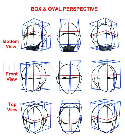 Drawing The Human Head, Face Proportions, Face Angles, Draw Human, 얼굴 드로잉, Drawing Tutorial Face, Drawing Heads, Human Figure Drawing, 얼굴 그리기