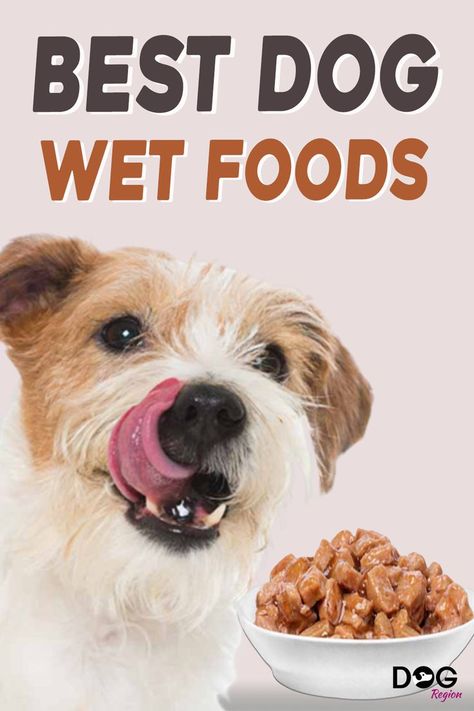 Searching for the best-wet food for your dog? It is surely a difficult task if you have to look for the best one suited for your dear paw mate. To identify the finest canned dog food to meet all of your pet’s needs, we analyzed hundreds of dog food manufacturers. #dogfoods Best Wet Dog Food, Funny Animal Gifs, We Rate Dogs, Canned Dog Food, Dog Foods, Wet Dog, Dog Needs, Living Under A Rock, Wet Dog Food