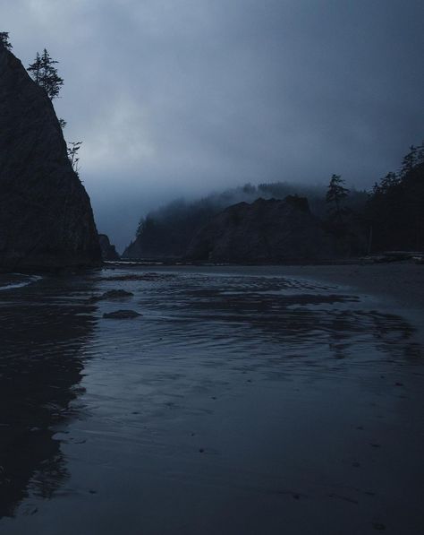 Blue Hour Forest, Blue Hour Rain, Nature Blue Aesthetic, Blue Aesthetic Nature, Gray Hour, Blue Hour Aesthetic, Grey Hour, White Hour, Blue Hour Photography