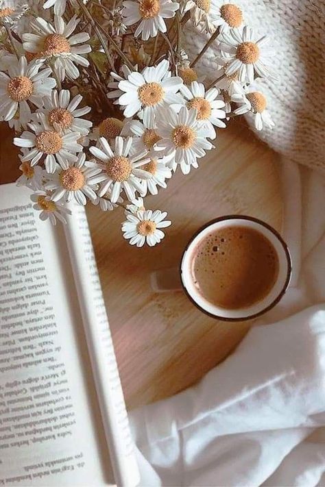 Book And Flowers Aesthetic, Aesthetic Books Decor, Aesthetic Lifestyle Pictures, Flowers On Books Aesthetic, Books Flowers Aesthetic, Aesthetic Pictures Books And Flowers, Books With Flowers Aesthetic, Cream Aesthetic, Botanical Beauty