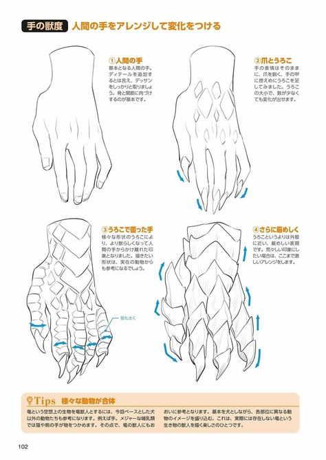 Dragonborn Poses, How To Draw Dragonborn, Dragon Hands Reference, Dragonborn Anatomy, Dragonborn Reference, Dragon Hands Drawing, Dragon Sketch, Human Anatomy Drawing, Creature Drawings