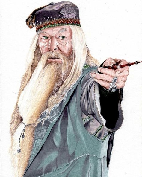 Dumbledore Harry Potter, Albus Dumbledore Drawing, Albus Dumbledore Art, Moss Graffiti, Harry Potter Places, Harry Potter Dumbledore, Harry Potter Pop, Harry Potter Voldemort, Harry Potter Art Drawings