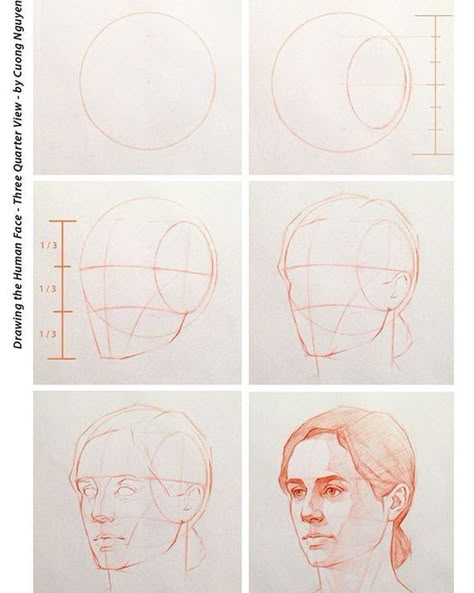 Quarter View Face, Community Photos, Female Face Drawing, 얼굴 드로잉, Face Drawing Reference, 얼굴 그리기, Human Figure Drawing, Drawing Heads, Human Drawing