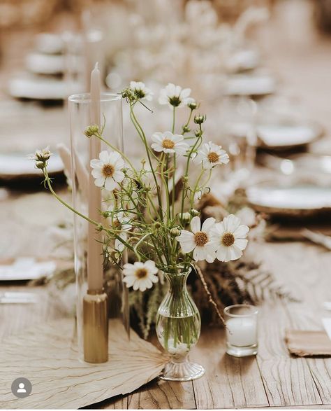 Daisy Wedding Theme, Daisy Centerpieces, Bud Vases Wedding, Bud Vase Centerpiece, Wildflower Centerpieces, Daisy Wedding, Wedding Week, Wedding Table Flowers, Wedding Vases