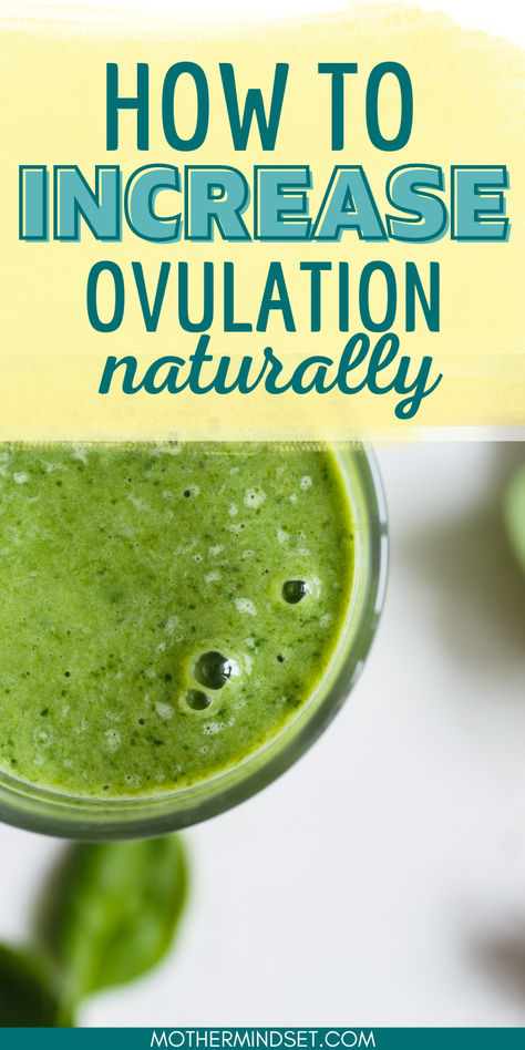 green smoothie, pin for how to increase ovulation naturally Best Foods For Conception, Foods That Increase Fertility, Cervical Mucus Trying To Conceive, Basal Body Temperature Fertility, Fertility Smoothie Getting Pregnant, How To Increase Cervical Mucus, Ovulation Foods, Increase Fertility Trying To Conceive, Increase Cervical Mucus