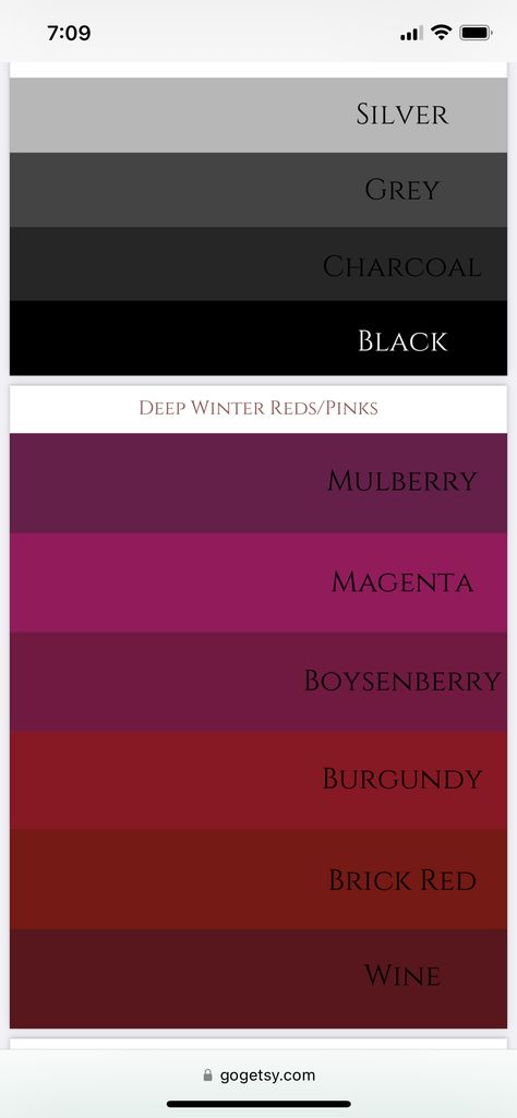 Deep Winter Work Outfits, Deep Winter Aesthetic Outfits, Deep Winter Palette Outfits Aesthetic, Deep Winter Accessories, Dark Winter Aesthetic Outfits, Deep Winter Outfits Aesthetic, Winter Color Palette Outfits, Dark Winter Color Palette Outfits, Deep Winter Aesthetic