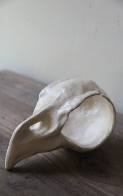 tiny bird skull. Clay Bird, Sculpture Art Clay, Sculptures Céramiques, Clay Diy Projects, Tanah Liat, Keramik Design, Tiny Bird, Bird Skull, Pottery Crafts