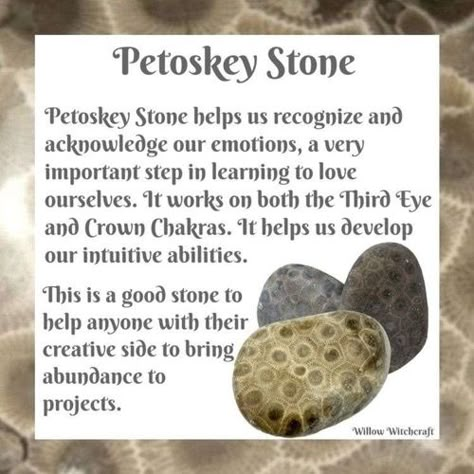 Petoskey Stone Meaning, Organizing Crystals Storage Ideas, Wishing Rocks, Rock Collection Display, Petosky Stone, Wishing Stones, Magic Spell Book, Hag Stones, Petoskey Stone