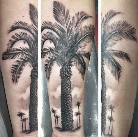 Top 9 Stupendous Palm Tree Tattoos for Women and Men Realism Palm Tree Tattoo, Coconut Tree Tattoo, Geometric Tattoo Tree, Chris Tattoo, Leg Tats, Tree Sleeve Tattoo, Pine Tattoo, Tree Tattoo Arm, Tree Tattoo Men