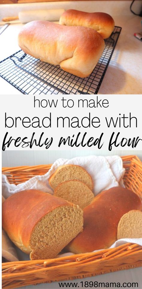 Learn how to make homemade bread with step-by-step instructions with one of my favorite recipes. The ingredients make up this wholesome, delicious loaf! Freshly milled flour recipes. Freshly milled flour bread. Baking with freshly milled flour. Milled Flour Recipes, Wheat Berry Bread Recipe, Wheat Flour Bread Recipe, Wheat Berry Recipes, Bread Flour Recipe, Make Homemade Bread, Homemade Whole Wheat Bread, Wheat Flour Recipes, Wheat Bread Recipe