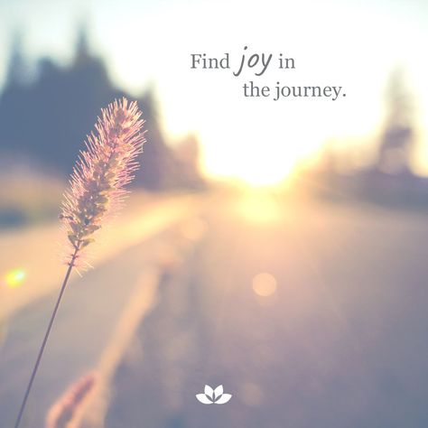 Find joy in the journey. 🌱 Find Joy In The Journey Wallpaper, Joy Quotes Aesthetic, Finding Joy In The Little Things, Peaceful Photos, Inspirarional Quotes, Yearbook Inspiration, Goals 2024, Find Joy In The Journey, The Journey Quotes