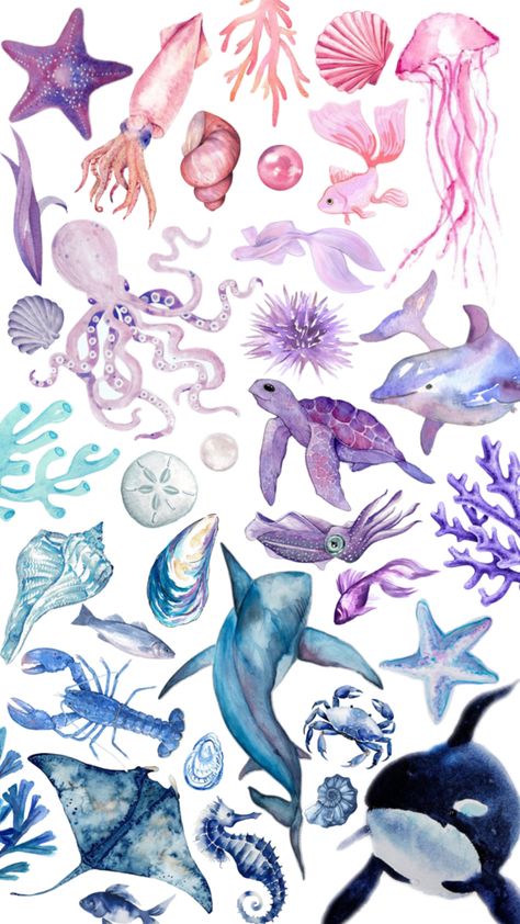 Octopus. Shark. Fish. Jellyfish princess. Seashells. Starfish. Crab. Sea horse. Algae. Seaweed. Coral reef. Elements of the sea. Pink. Purple. Blue. Jellyfish Princess, Sea Life Wallpaper, Sea Jellyfish, Shark Fish, Coastal Wallpaper, Pink Purple Blue, Iphone Wallpaper Photos, Sea Horse, Summer Wallpaper