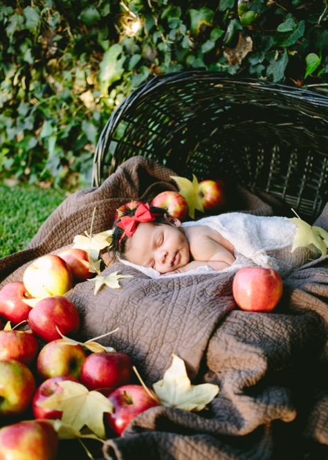 September Baby Pictures Ideas, Baby Monthly Photo Ideas Summer, Newborn Apple Orchard Pictures, September Newborn Photoshoot, Autumn Newborn Photos, September Baby Picture Ideas, September One Month Baby Pictures, Newborn Photos Fall, October Newborn Photoshoot