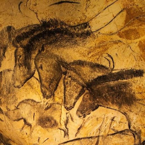 Chauvet Cave, Petroglyphs Art, Prehistoric Cave Paintings, Cave Painting, Prehistoric Art, Cave In, Cave Paintings, Art Sites, Old Paintings