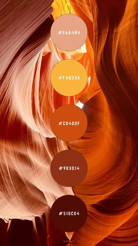 African Sunset Colour Palette, Terracotta And Yellow Color Palette, Luxury Orange Color Palette, African Color Palette Colour Schemes, Ginger Color Palette, Orange And Brown Color Palette, Burnt Orange Colour Palette, Orange Beige Aesthetic, Orange Combination Color