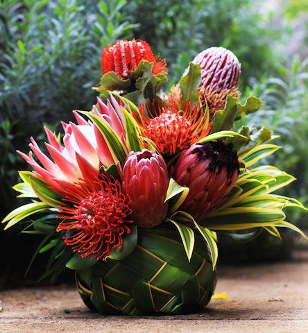 Protea Arrangements, Hawaiian Flower Arrangements, Valentine's Flowers, Summer Arrangements, Basket Arrangement, Tropical Floral Arrangements, Tropical Flower Arrangements, King Protea, Protea Flower