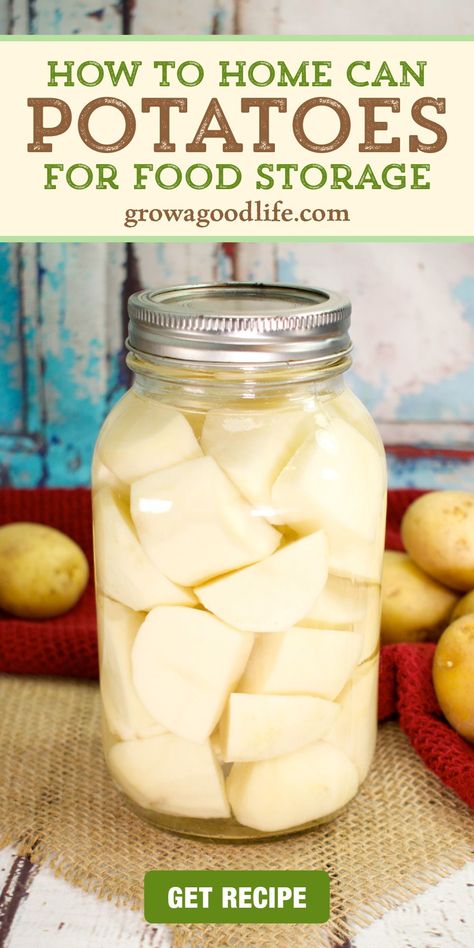 Canning Sweet Potatoes Water Bath, How To Can Potatoes In A Water Bath, Can Potatoes, Canning Potatoes, Pressure Canning Recipes, Canned Potatoes, Modern Homestead, Canning Fruit, Home Canning Recipes