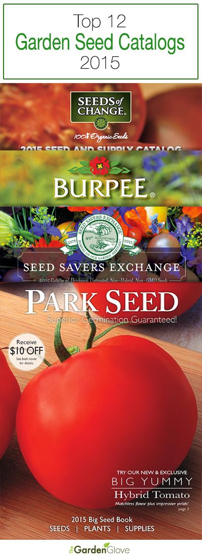 Top 12 Garden Seed Catalogs – 2015 Landscape Design Patio, Grow Tomatoes Indoors, Best Tasting Tomatoes, Garden Ideas Indoor, Growing Tomatoes Indoors, Seed Companies, Outdoor Room Decor, Decor Garden Ideas, Winter Veggies