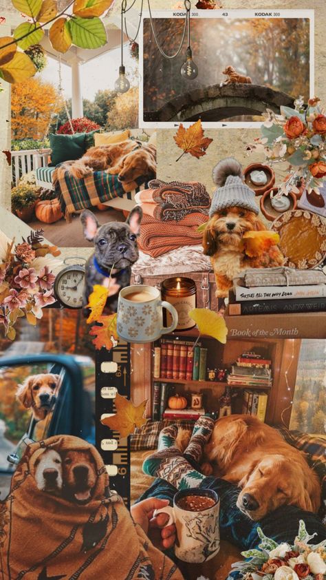 Puppy love 🧡 #aesthetic #fall #autumn #fallaesthetic #autumnaesthetic #leaves #dog #puppy #cute #orange Puppy Love Aesthetic, Preppy Halloween, College Wallpaper, Dog Background, Fall Wallpapers, Wallpaper Fall, Cute Fall Wallpaper, Puppy Cute, Iphone Wallpaper Fall