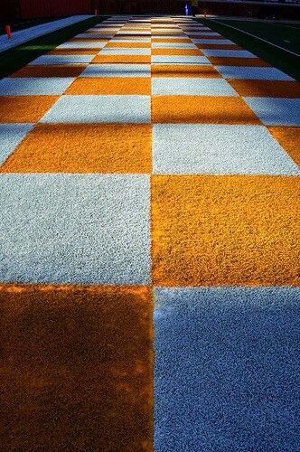 Checkerboard Tn Vols Football, Ut Knoxville, University Of Tn, Tn Football, Ut Football, Rocky Top Tennessee, Neyland Stadium, Tennessee Volunteers Football, Tennessee Girls