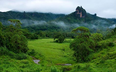 Bale Mountains Ethiopia, Oromia Ethiopia, Visiting Africa, Ethiopian Highlands, Ethiopian Wolf, Visit Africa, Coffee Farm, World Wallpaper, Hidden Beauty