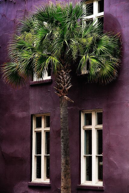 Unbetitelt Estilo Charleston, Charleston Style, Pastel Decor, All Things Purple, Pisco, Purple Rain, Color Textures, Shades Of Purple, Portland Oregon