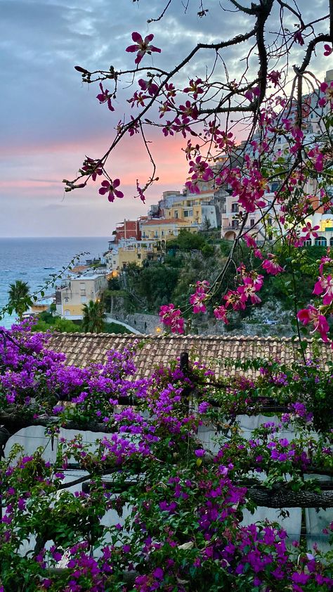 Una settimana indimenticabile nella Costiera Amalfitana con Meeters, partendo da Salerno come base strategica. Il tour include il Sentiero dei Limoni, una delle vie più panoramiche al mondo, una crociera che offre viste sui borghi di Amalfi e Positano, e momenti di relax nelle spiagge più belle e rinomate della zona. Positano, Amalfi, Collage, Pins